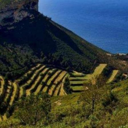 Lou Corail Κασί Εξωτερικό φωτογραφία