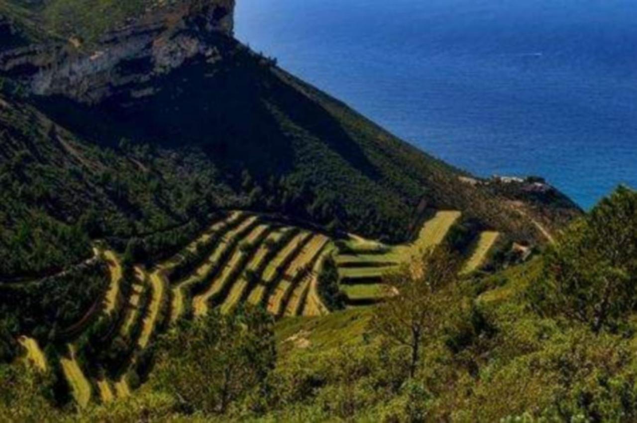Lou Corail Κασί Εξωτερικό φωτογραφία